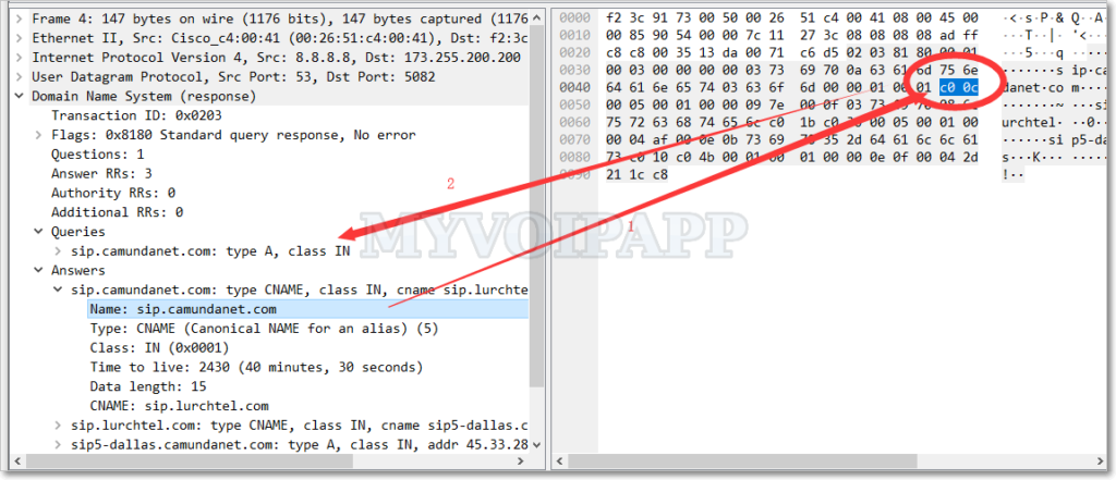 Google DNS 结果