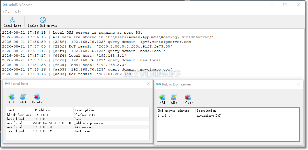 miniDNServer 界面