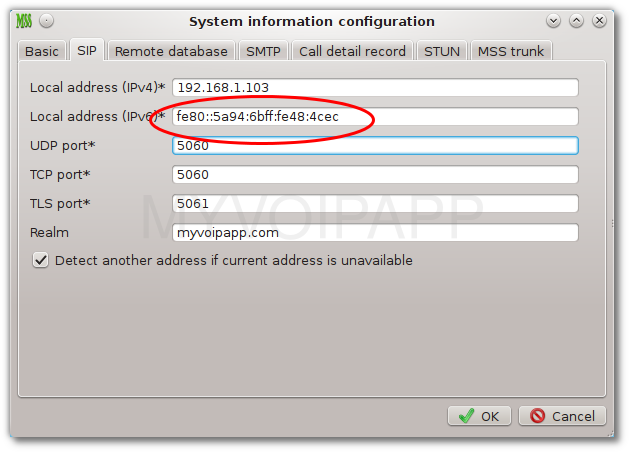 IPv6 address in system configuation